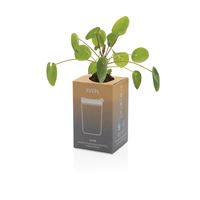 BICCHIERE AVIRA IN ACCIAIO RICICLATO RCS 300ML
